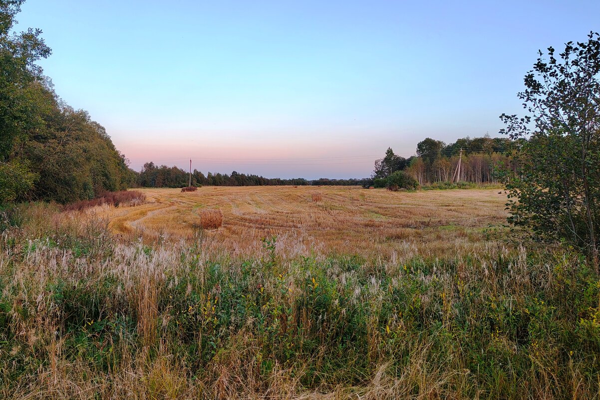 у д.Выскодь - Артем 
