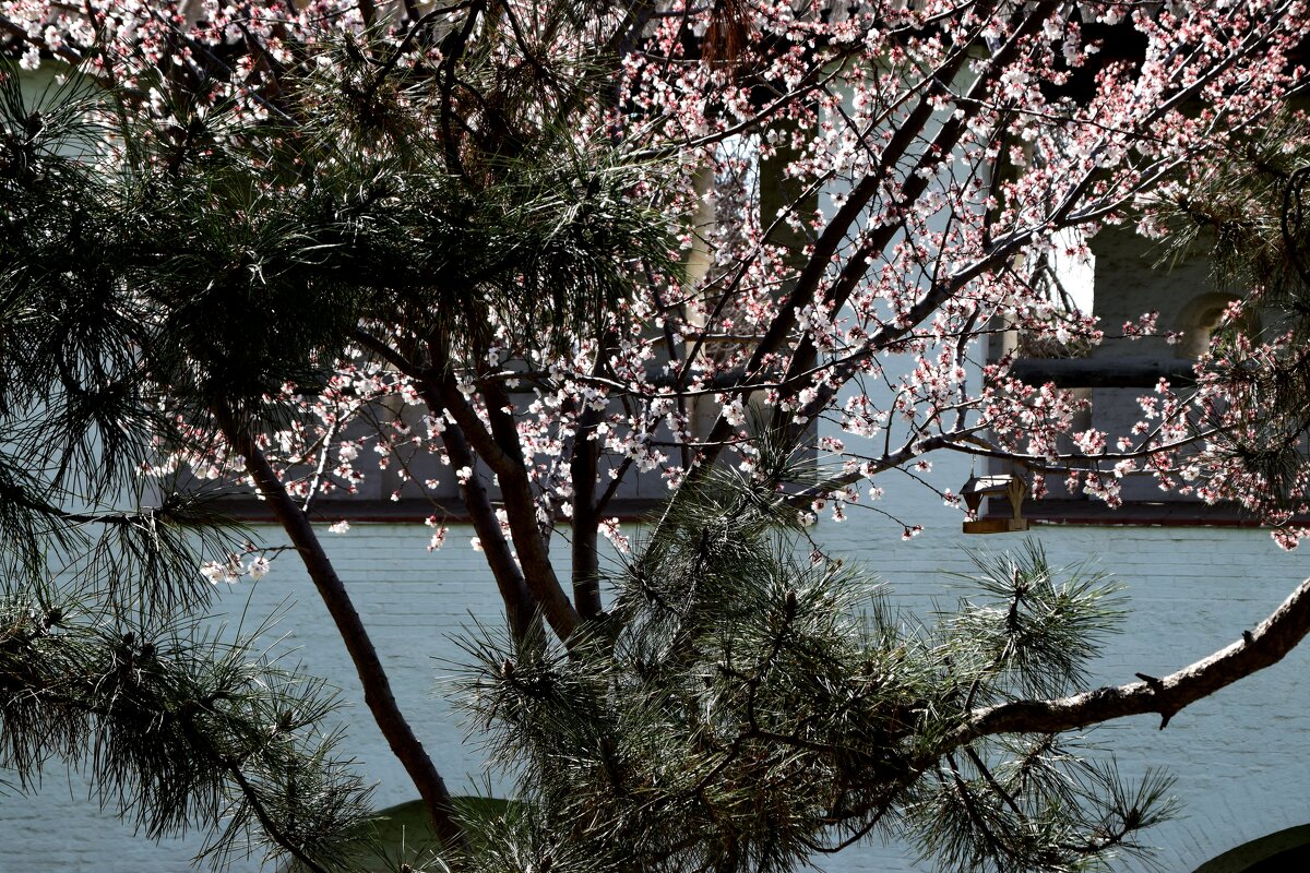 *** - Павленко Михаил 