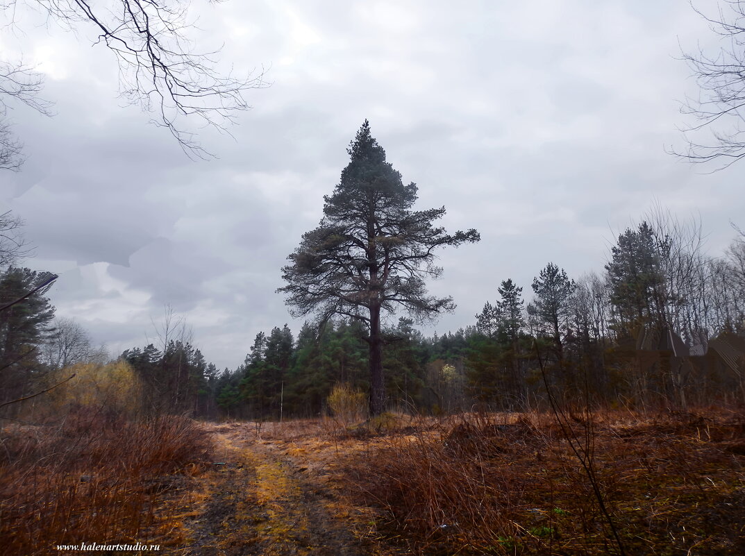 Ранее ьыло зимнее фото этого места. - Игорь Корф