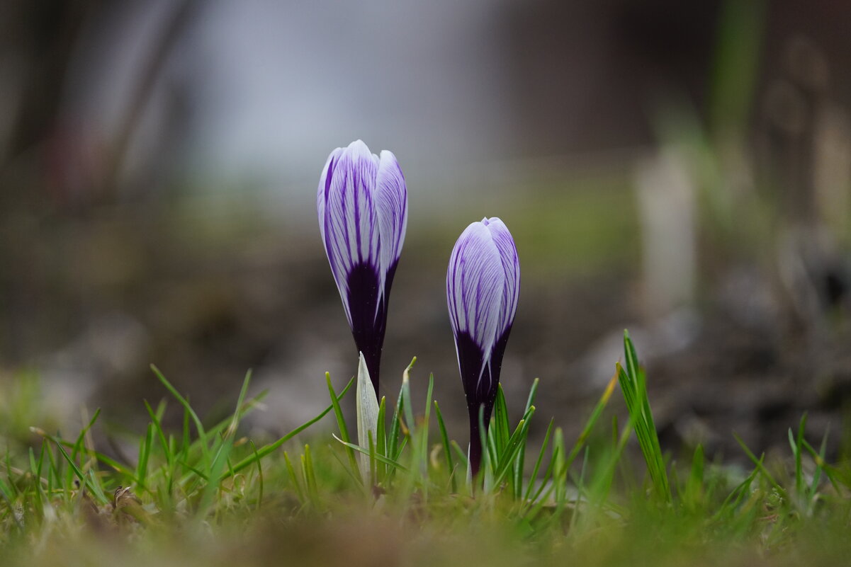 Вместе - Иван Литвинов