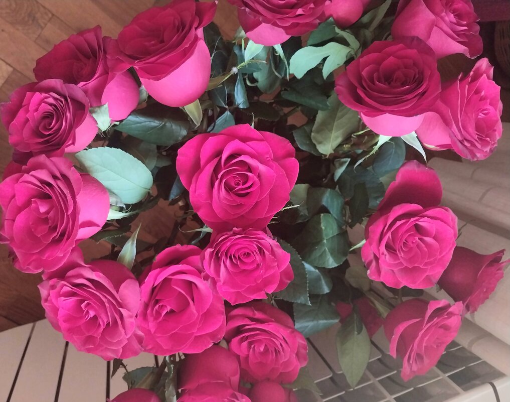 ....... - Murat Bukaev 