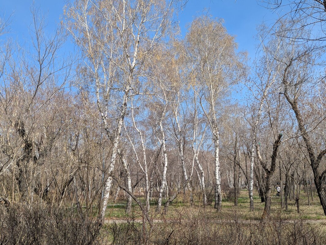 Начинается зелёная неделя - Андрей Хлопонин