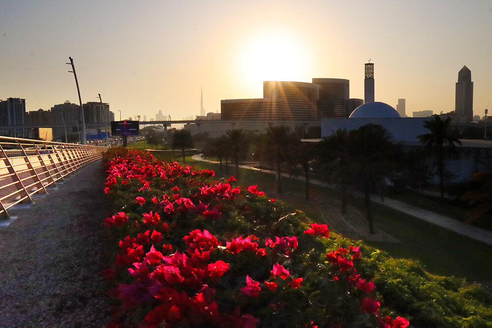 В вечерних лучах солнца - Галина Ильясова