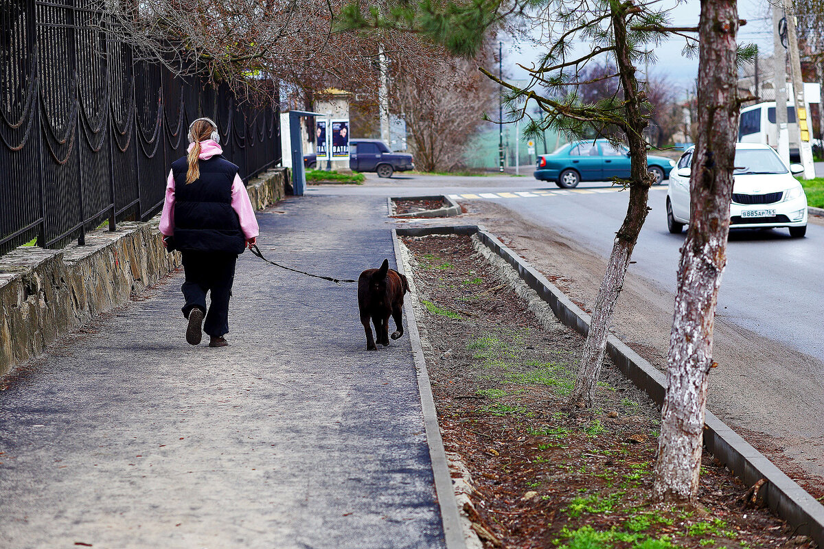 На поводке - Юрий Гайворонскiий