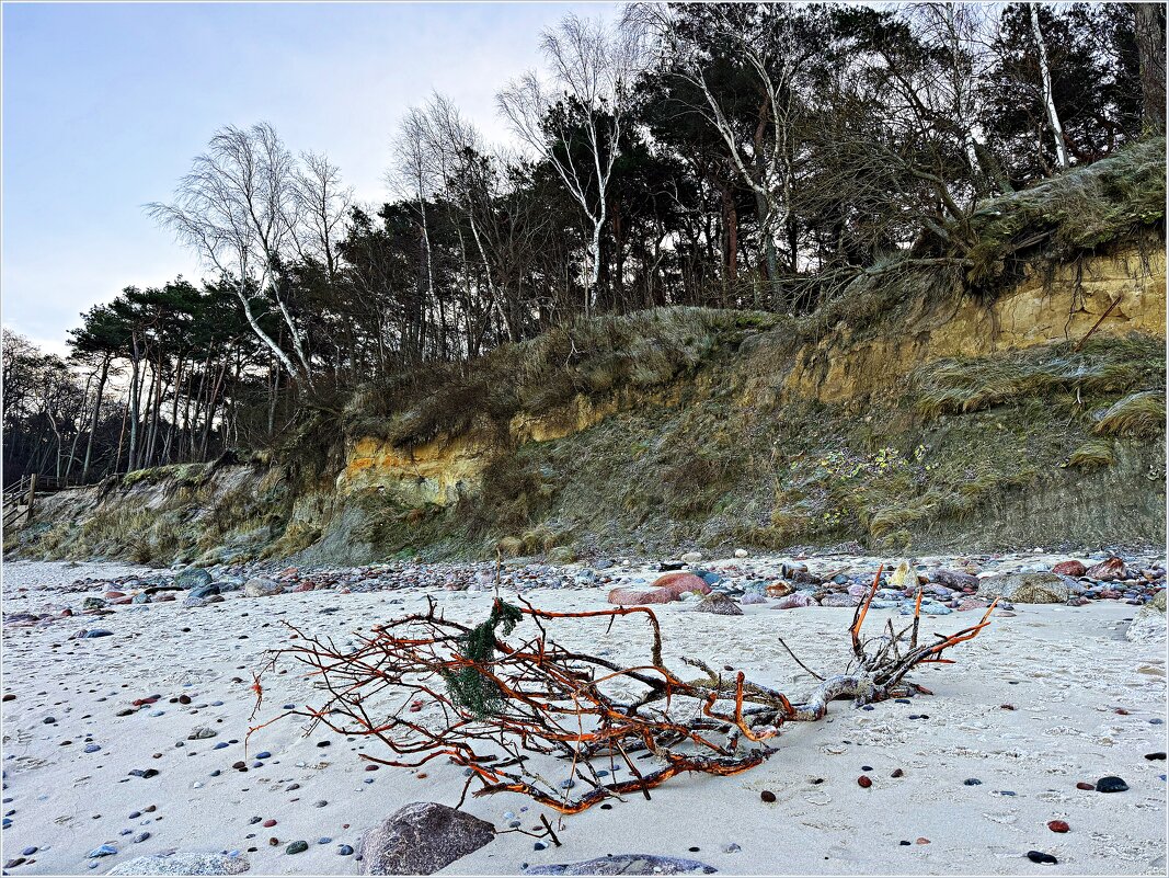На берегу моря. - Валерия Комова На берегу моря. - Валерия Комова