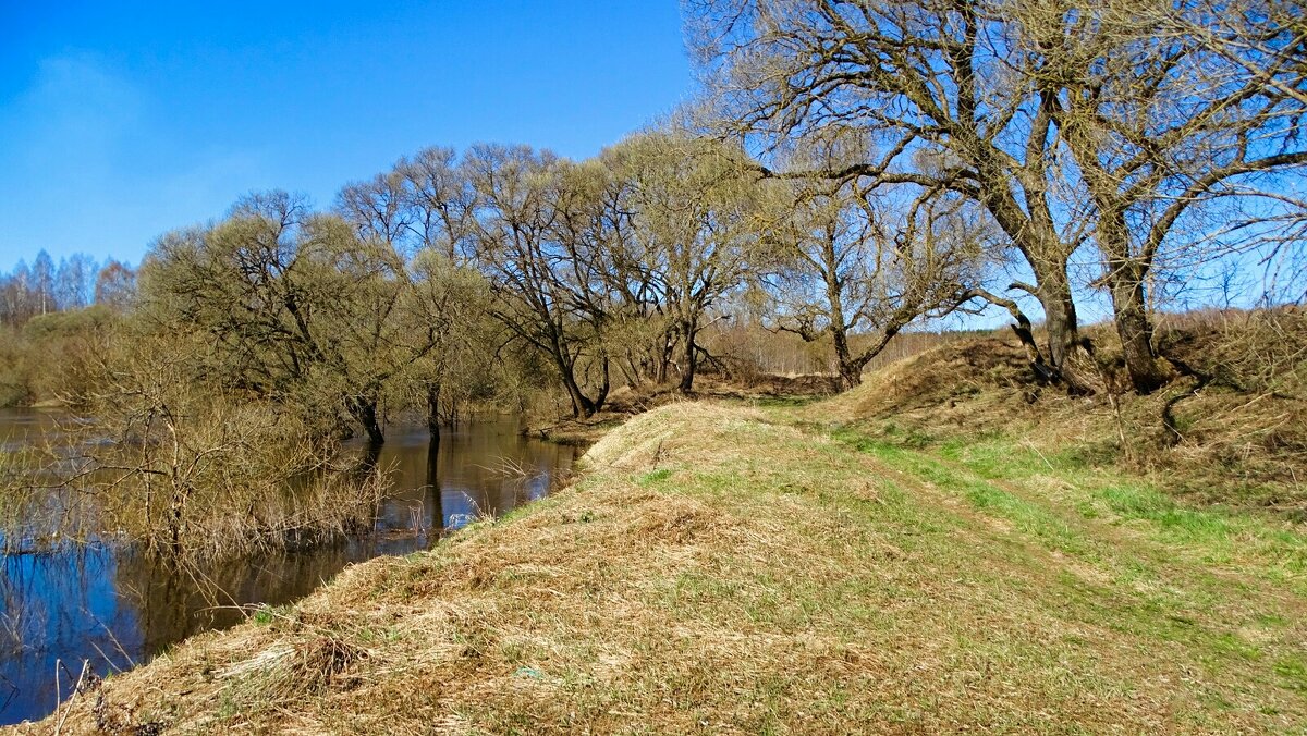 Берег р.Днепр - Милешкин Владимир Алексеевич 