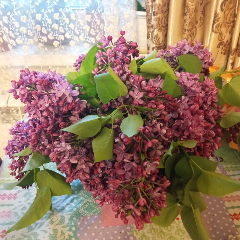 Букет сирени - Елена Семигина Букет сирени - Елена Семигина