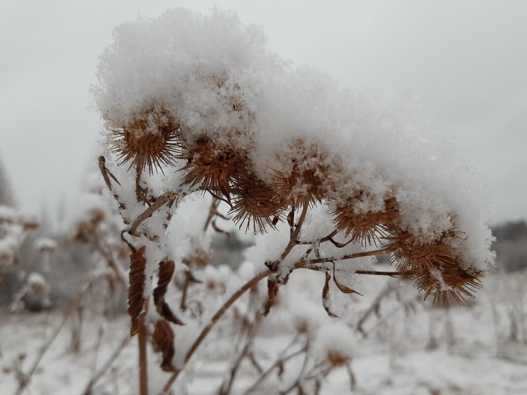 И снова выпал снег... - Галина Минчук