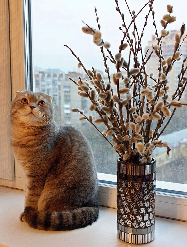 Очень нравятся эти пушистики - Галина Нестратова Очень нравятся эти пушистики - Галина Нестратова