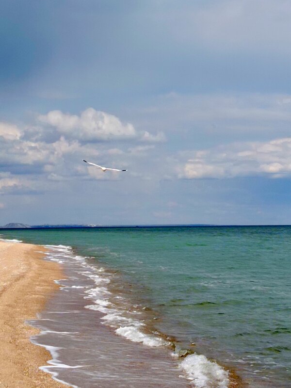 Мелекино Азовское море - Татьяна Пальчикова Мелекино Азовское море - Татьяна Пальчикова