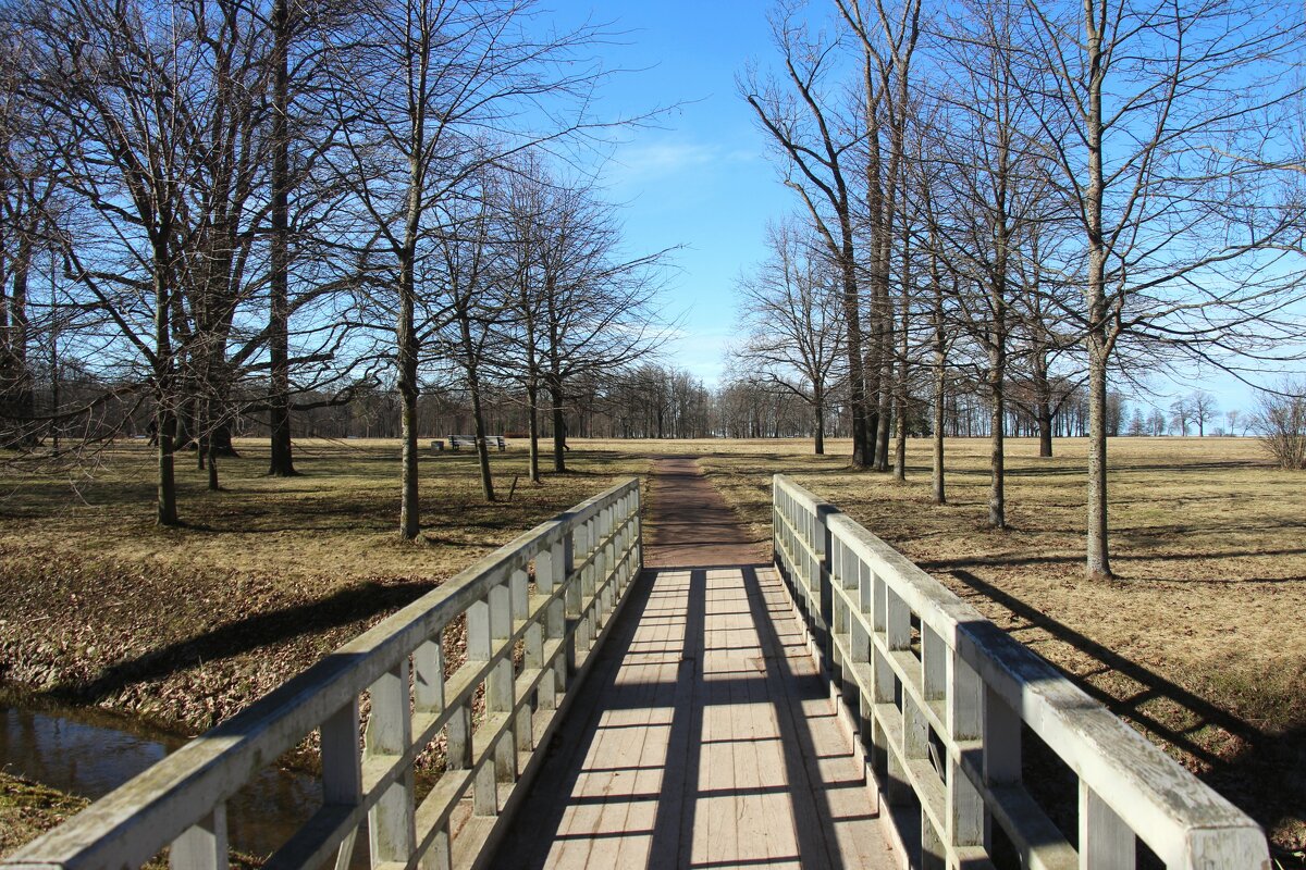 Парк Александрия - Наталья Герасимова