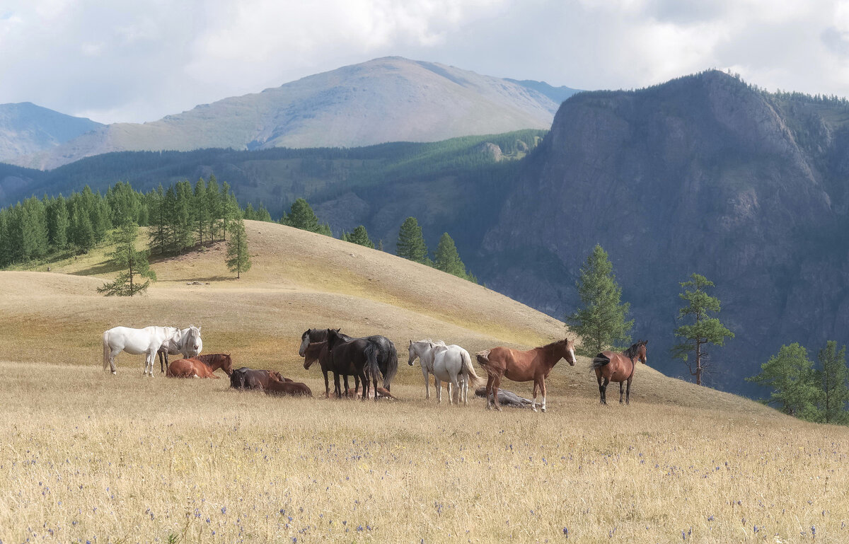 Гармония природы - Марина Фомина.