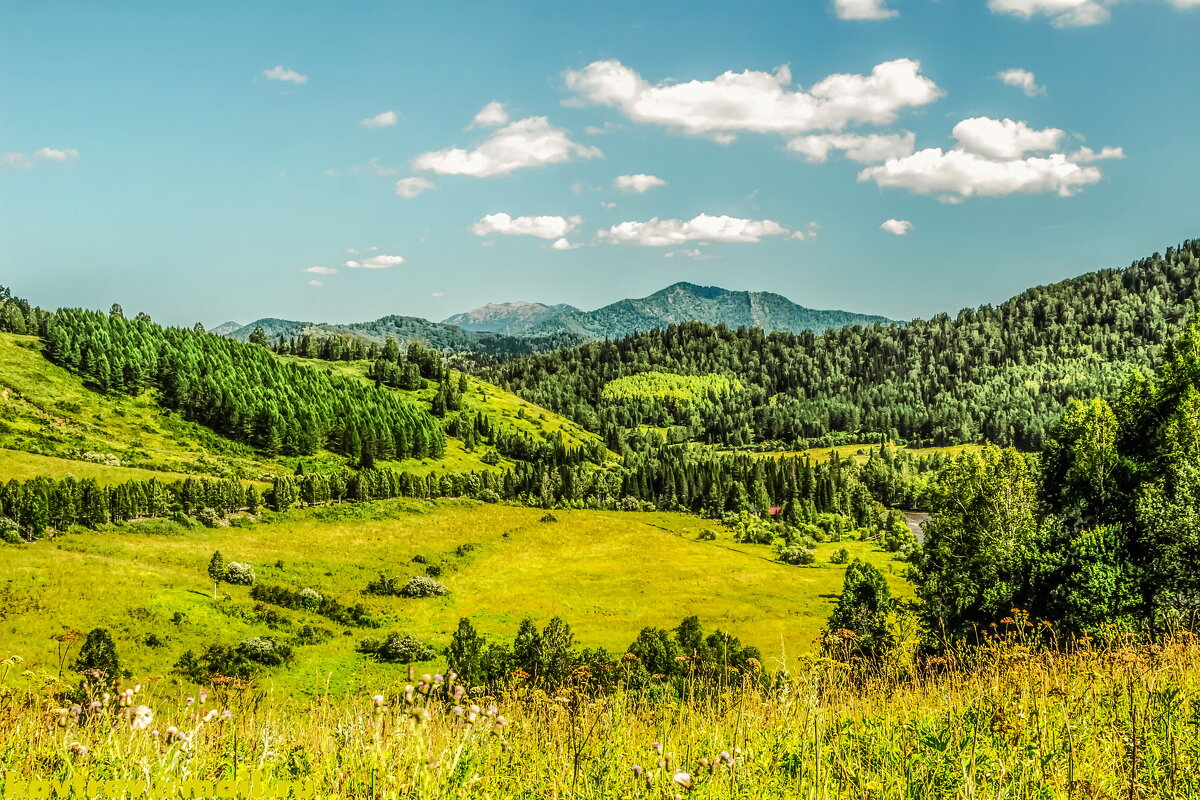 КРАСИВОЕ - HART BAD