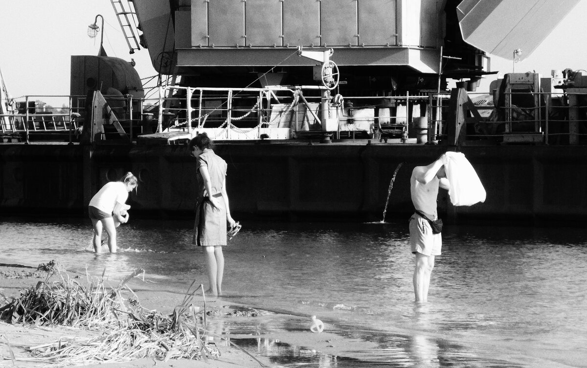 Берег - Vitrevi 