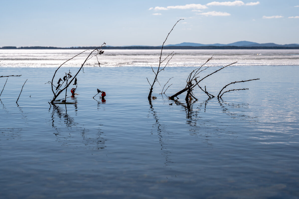Озеро Иртяш - Сергей Яковлев