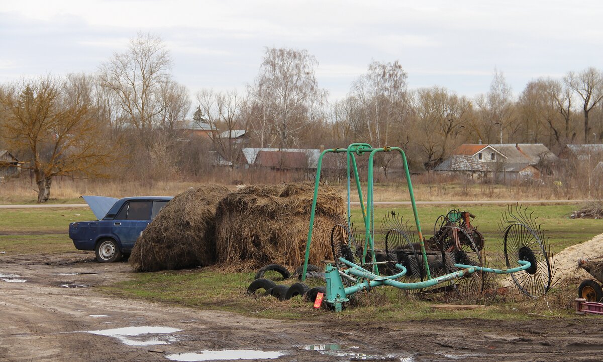 Провинциальные зарисовки - Елена Минина Провинциальные зарисовки - Елена Минина