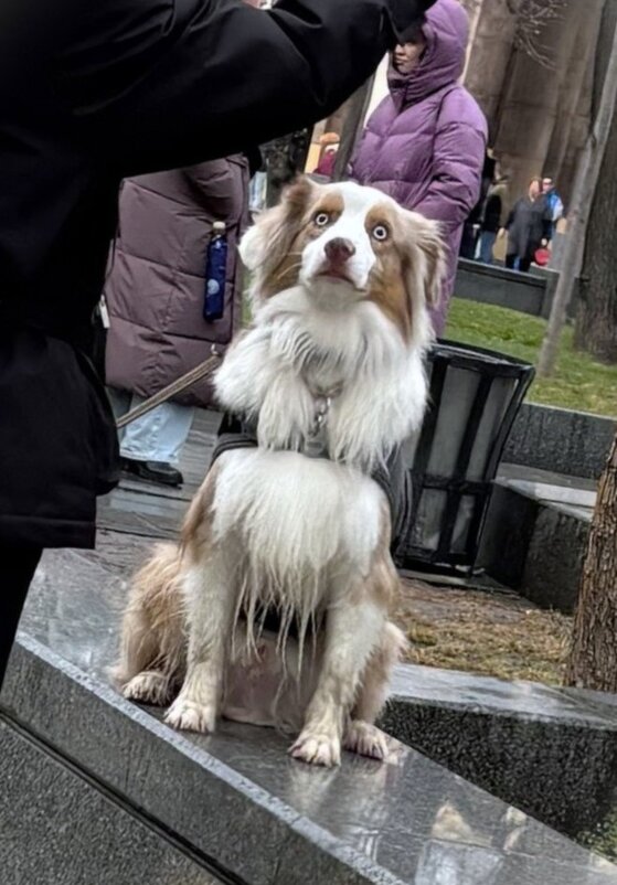 Ждет вкусняшку - Мария - Maria Ждет вкусняшку - Мария - Maria