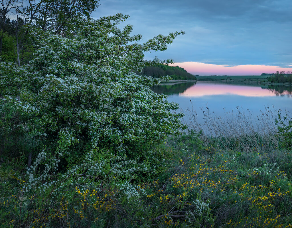 Майское - Фёдор. Лашков