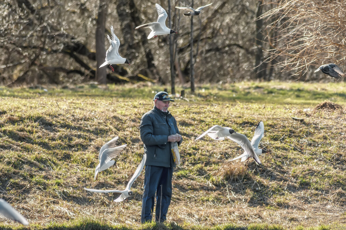 Про Питер - Владимир Колесников