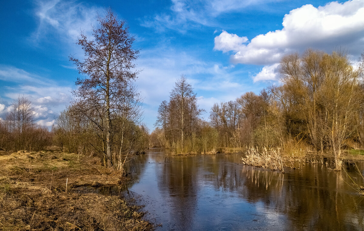 Весенняя прогулка 6 - Андрей Дворников