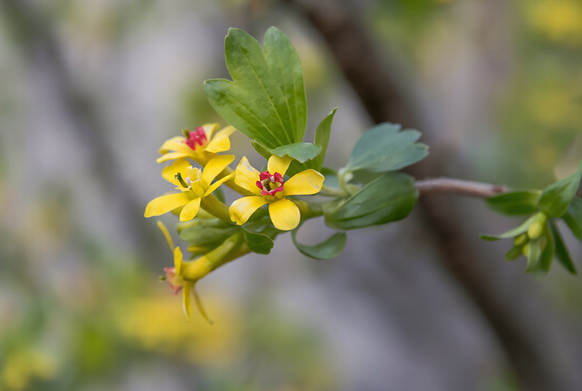 Апрель спешит порадовать теплом... - Валерий Басыров