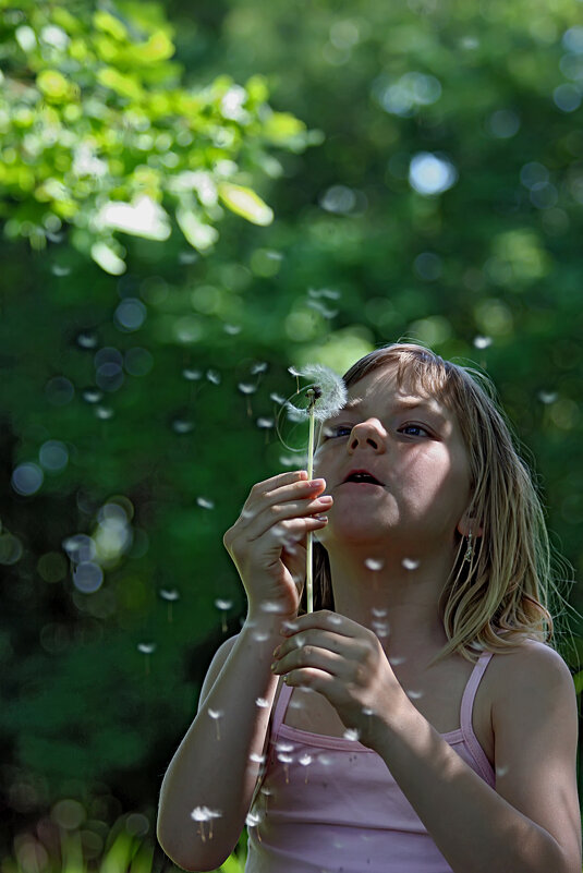 Одуванчик - Valziwa 