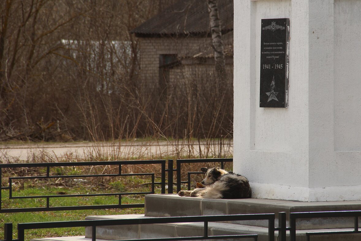 Провинциальные зарисовки - Елена Минина