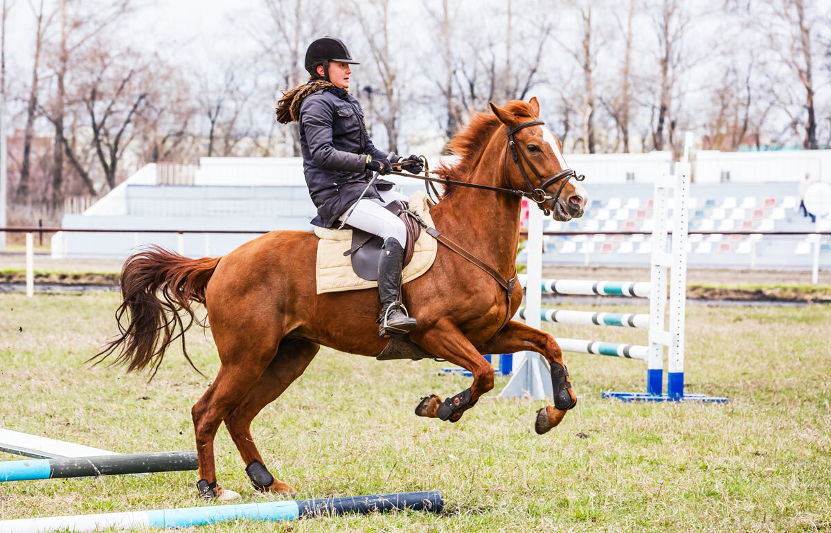 Конкур - SanSan 