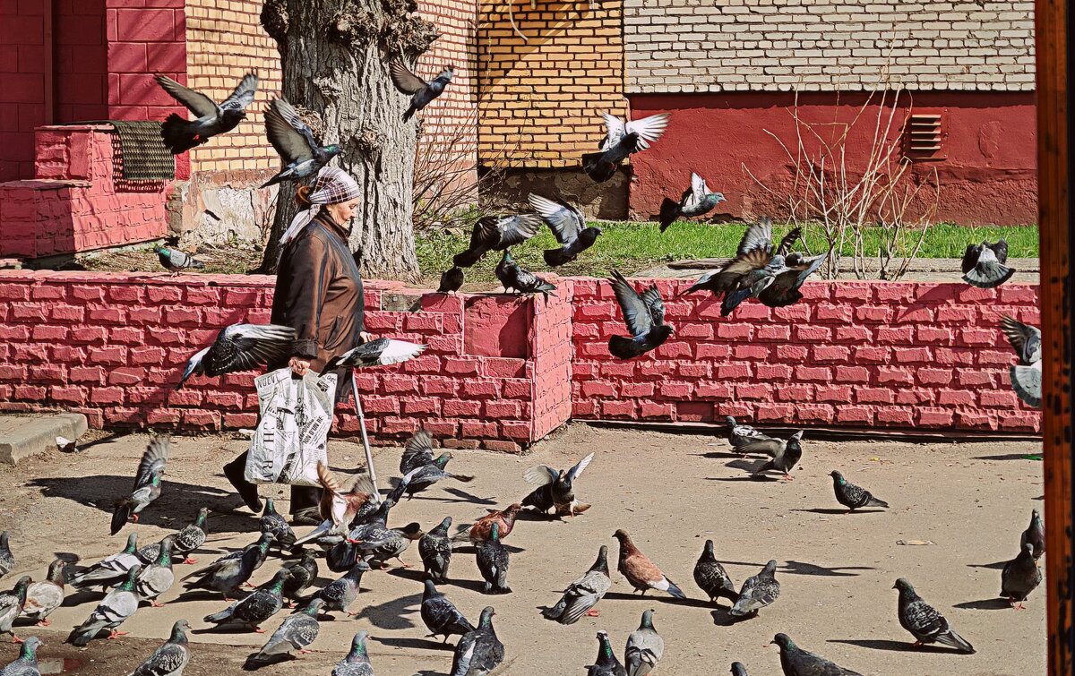 они ждали её..... - Любовь они ждали её..... - Любовь