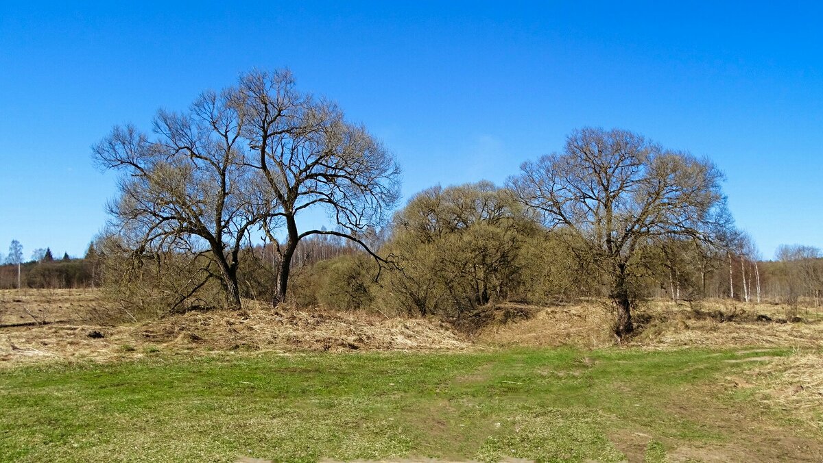 Весенний пейзаж. - Милешкин Владимир Алексеевич 