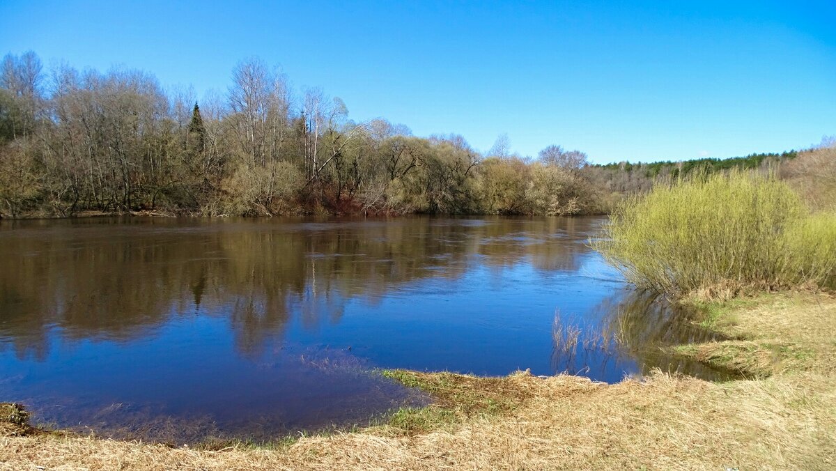 Паводок на Днепре. - Милешкин Владимир Алексеевич 