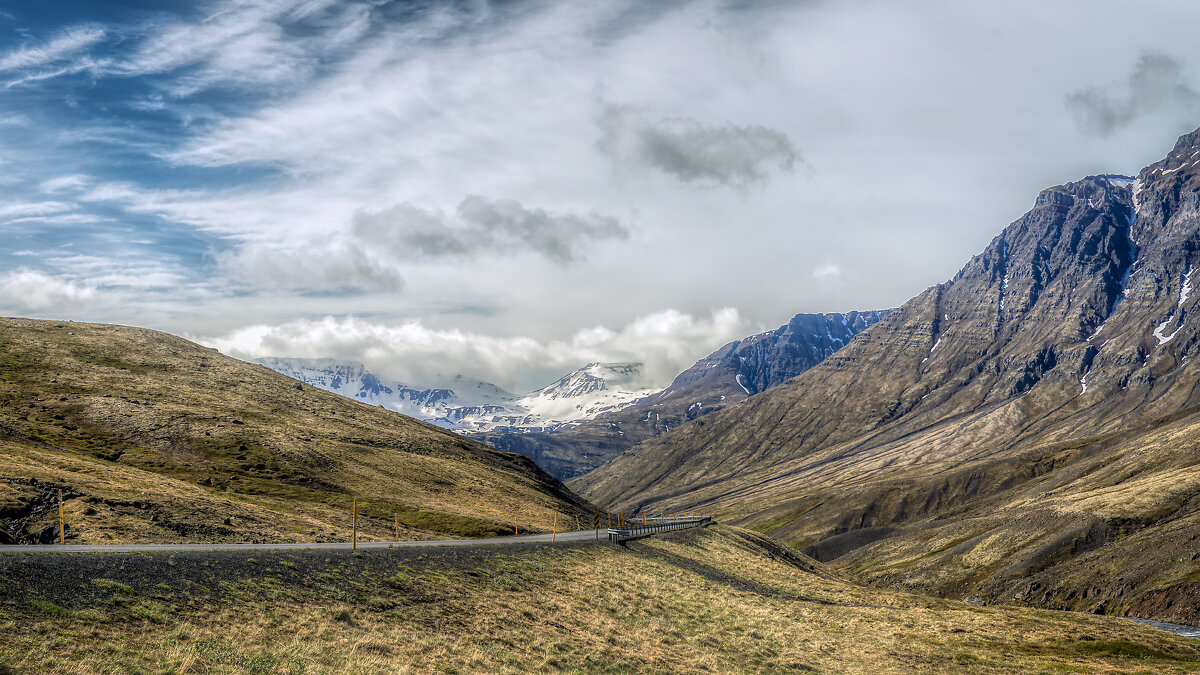 *** - Юрий Лев