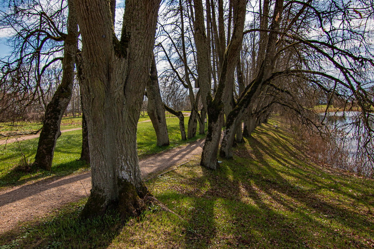 *** - Геннадий Порохов