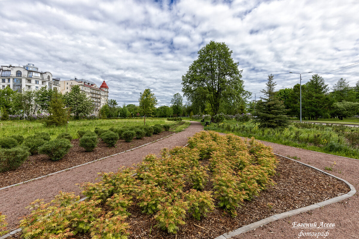 Лето в городе - Евгений Лето в городе - Евгений
