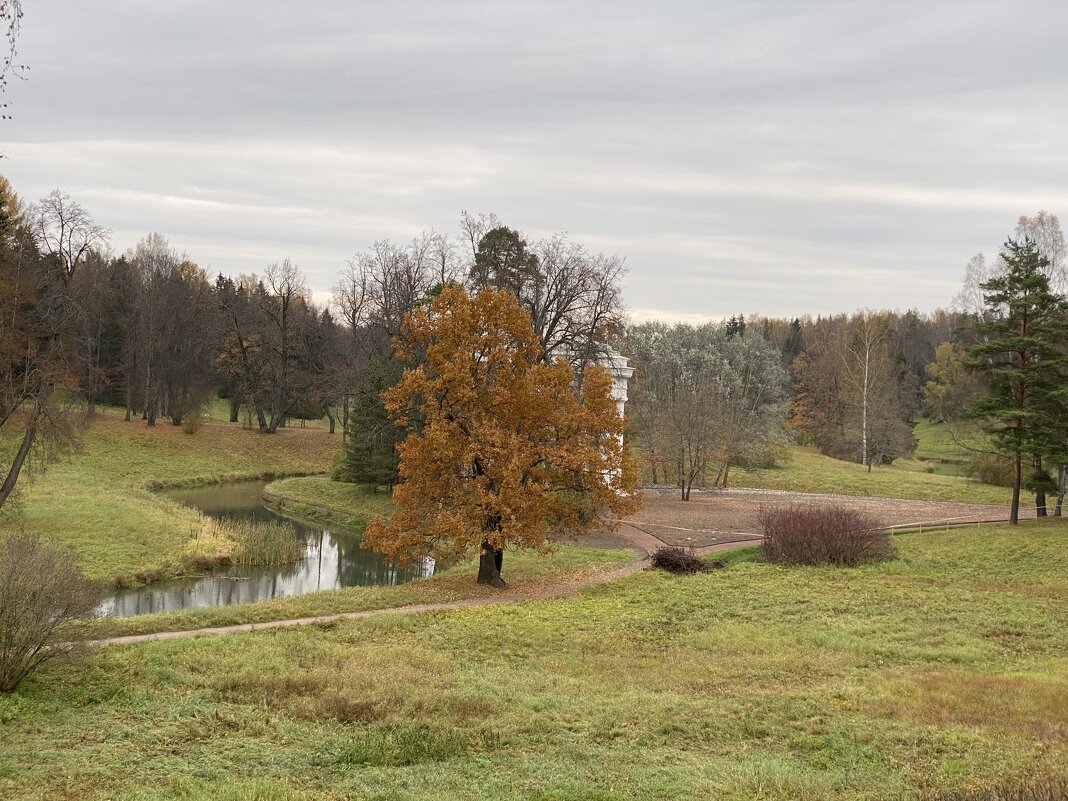 В Павловском парке. - Татьяна В Павловском парке. - Татьяна