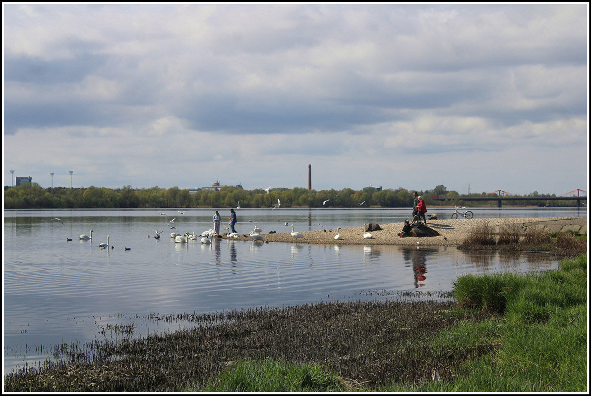 *** - Aleksandr Gal *** - Aleksandr Gal