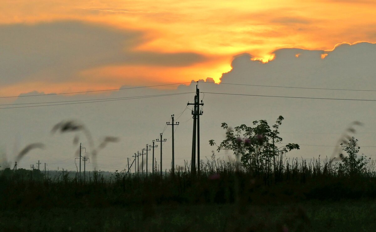 Фантазии природы - ZNatasha -