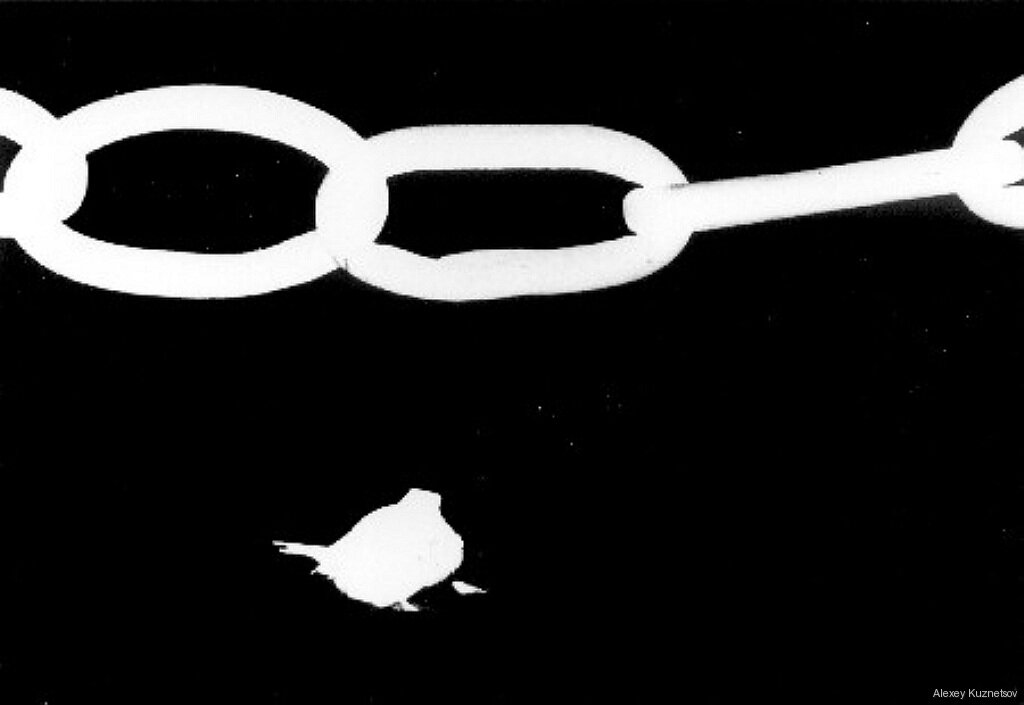 ФОТОГРАФИКА Дворцовая площадь - 1 - Алексей Кузнецов