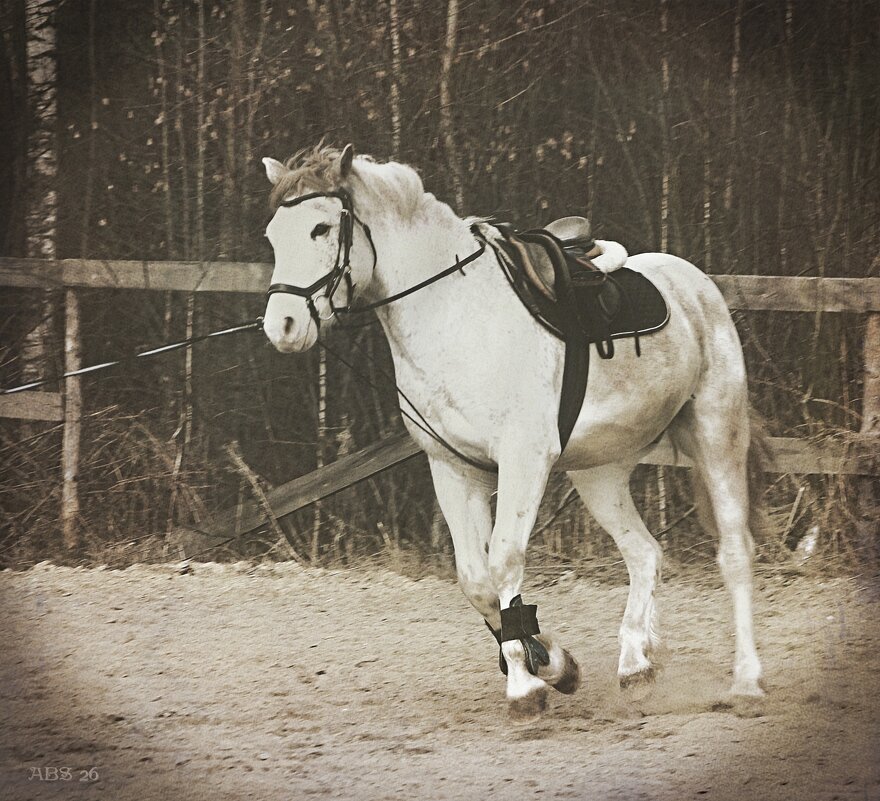 Разминка... - Александр Шимохин