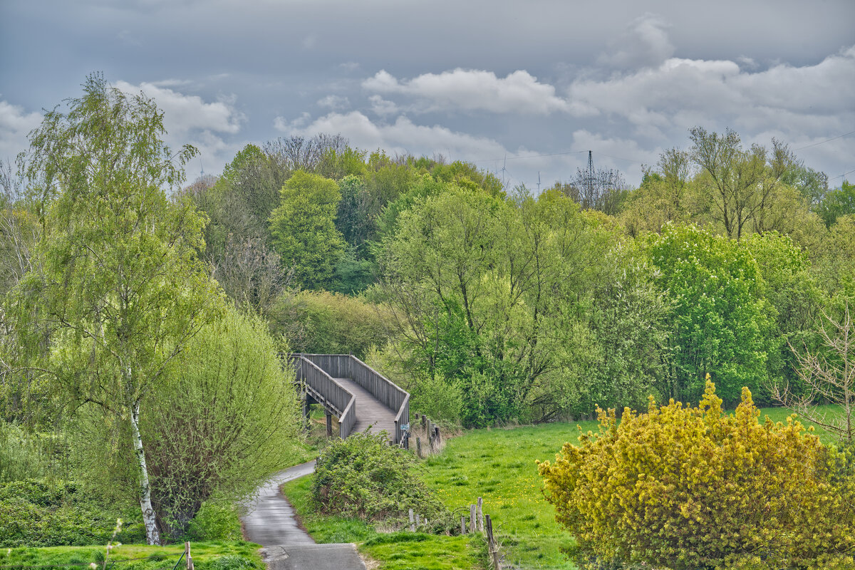 16.04.2026 Зеленеет - Jakob Dick
