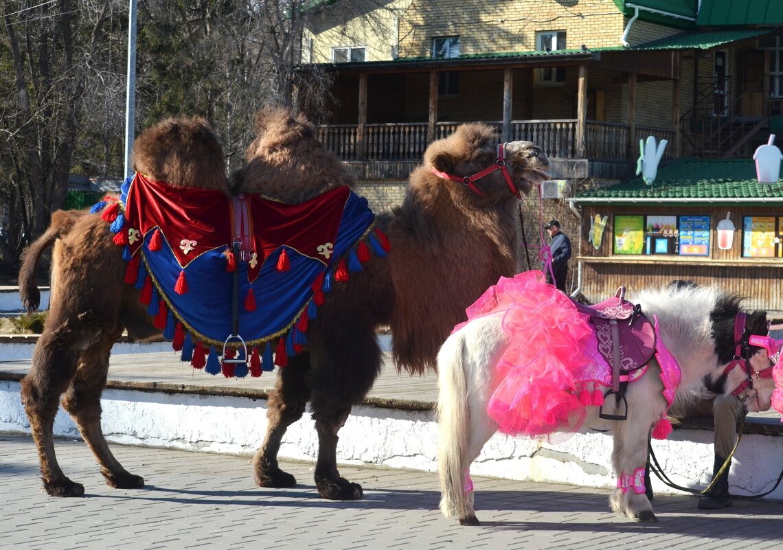 В Советском парке - Savayr 