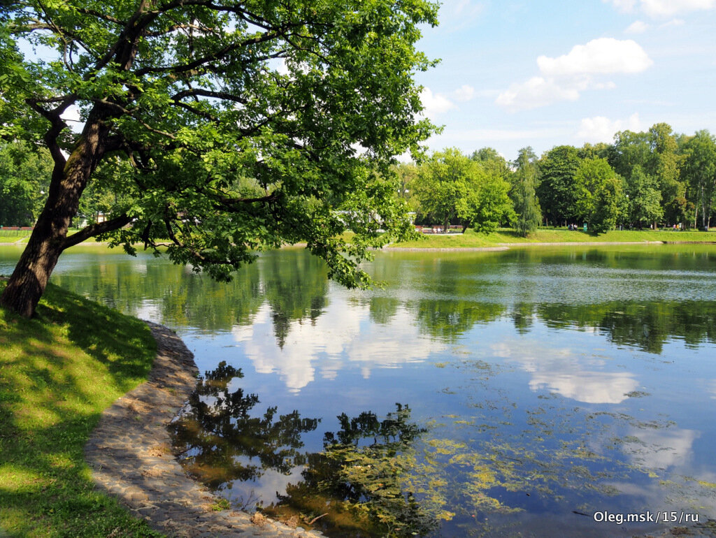 в старом парке - Олег Лукьянов