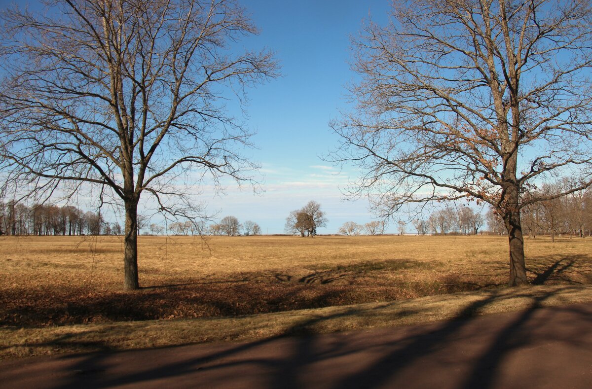 Парк Александрия - Наталья Герасимова