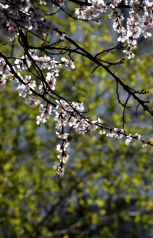 *** - Павленко Михаил *** - Павленко Михаил