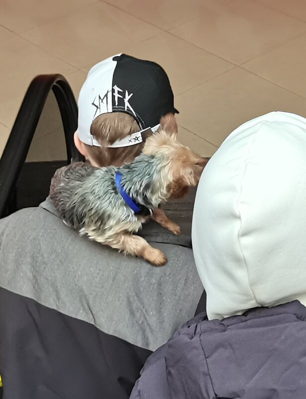 Друзья. - Любимова Ольга 