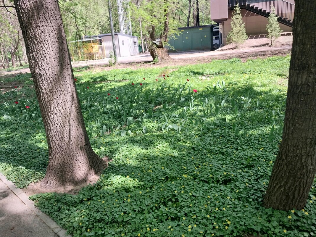 ........ - Murat Bukaev 