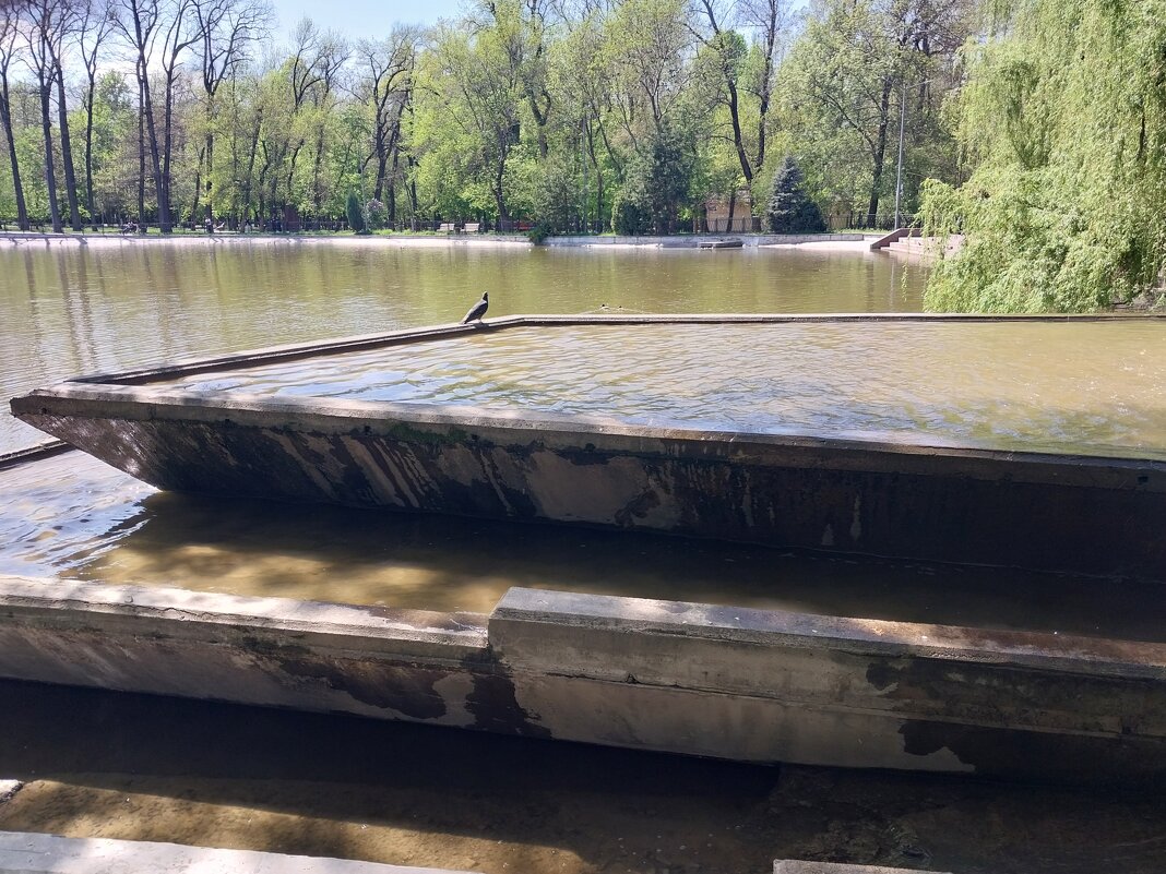 ..... - Murat Bukaev 