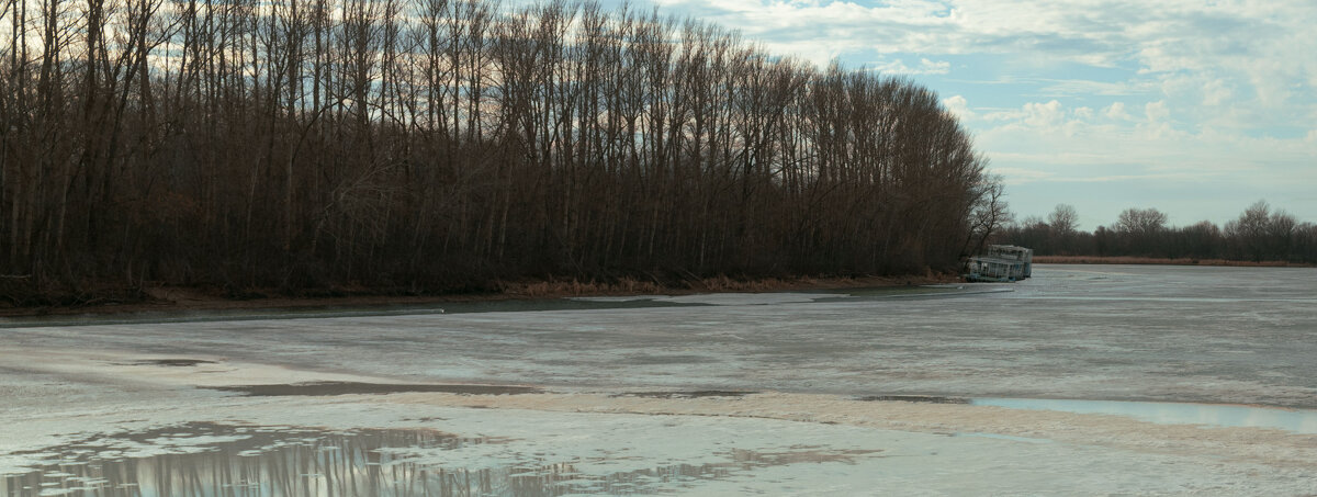 *** - Елена Алексеева