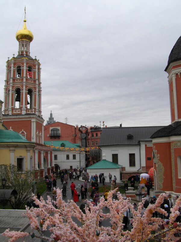 Звонильная программа 1 - Анна Воробьева