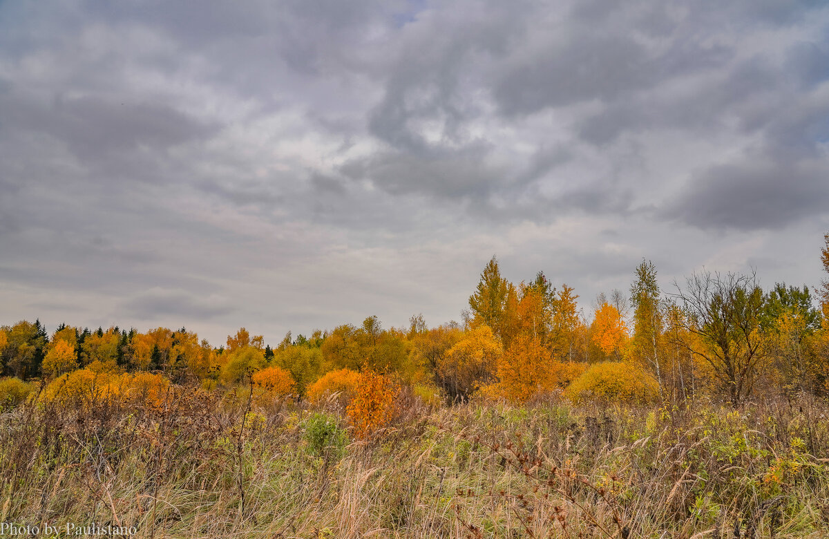 Небо октября... - Владимир Жданов